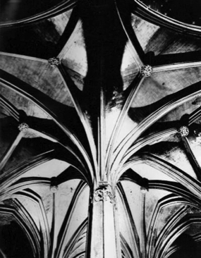 Saint Séverin XV